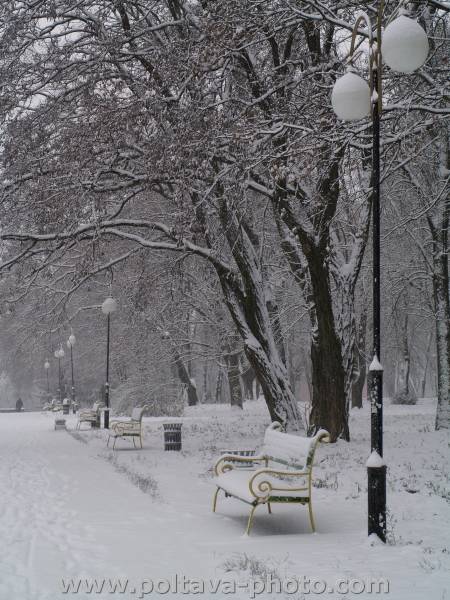 парк в снегу