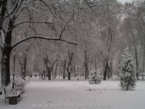 Полтава зимний парк