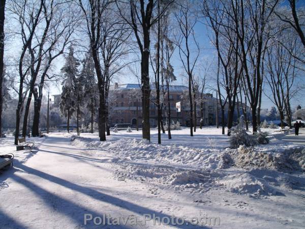 Петровский парк Полтава ботанический сад