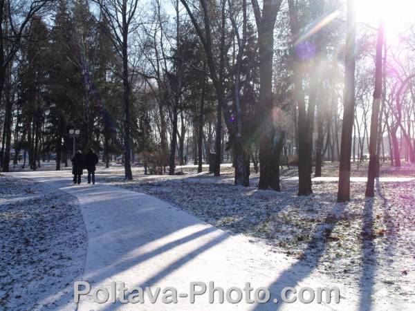 снежная алея в парке