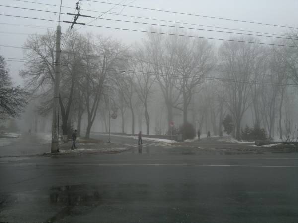 Петровский парк в тумані взимку 2014