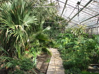 Парк агробіостанції (Ботанічний сад)