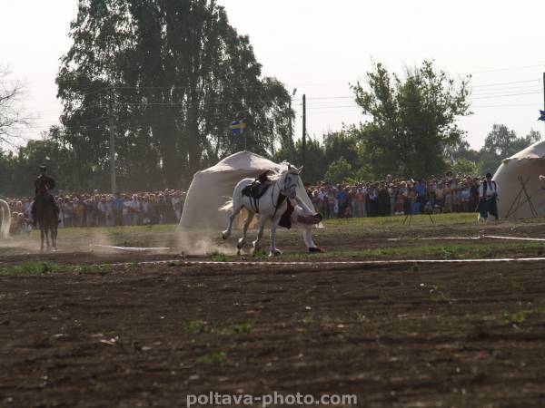 THE  BATTLE  OF  POLTAVA 1709 066