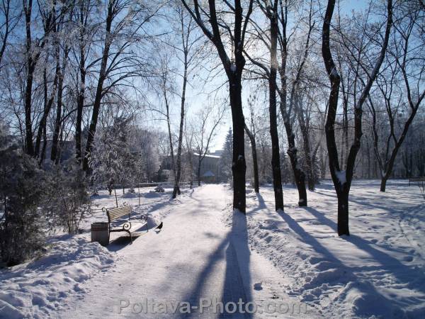фото Солнечного парка, зима